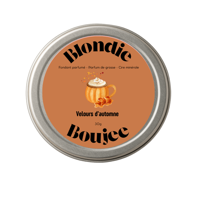 VELOURS D'AUTOMNE - Fondant parfumé